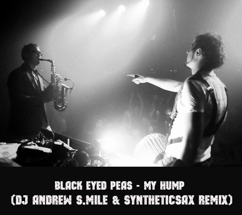 Black Eyed Peas - My Hump (Dj Andrew S.mile & Syntheticsax Remix).mp3